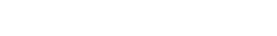 Network Audit Authority